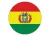 2024 Copa America Accessories - Bolivia